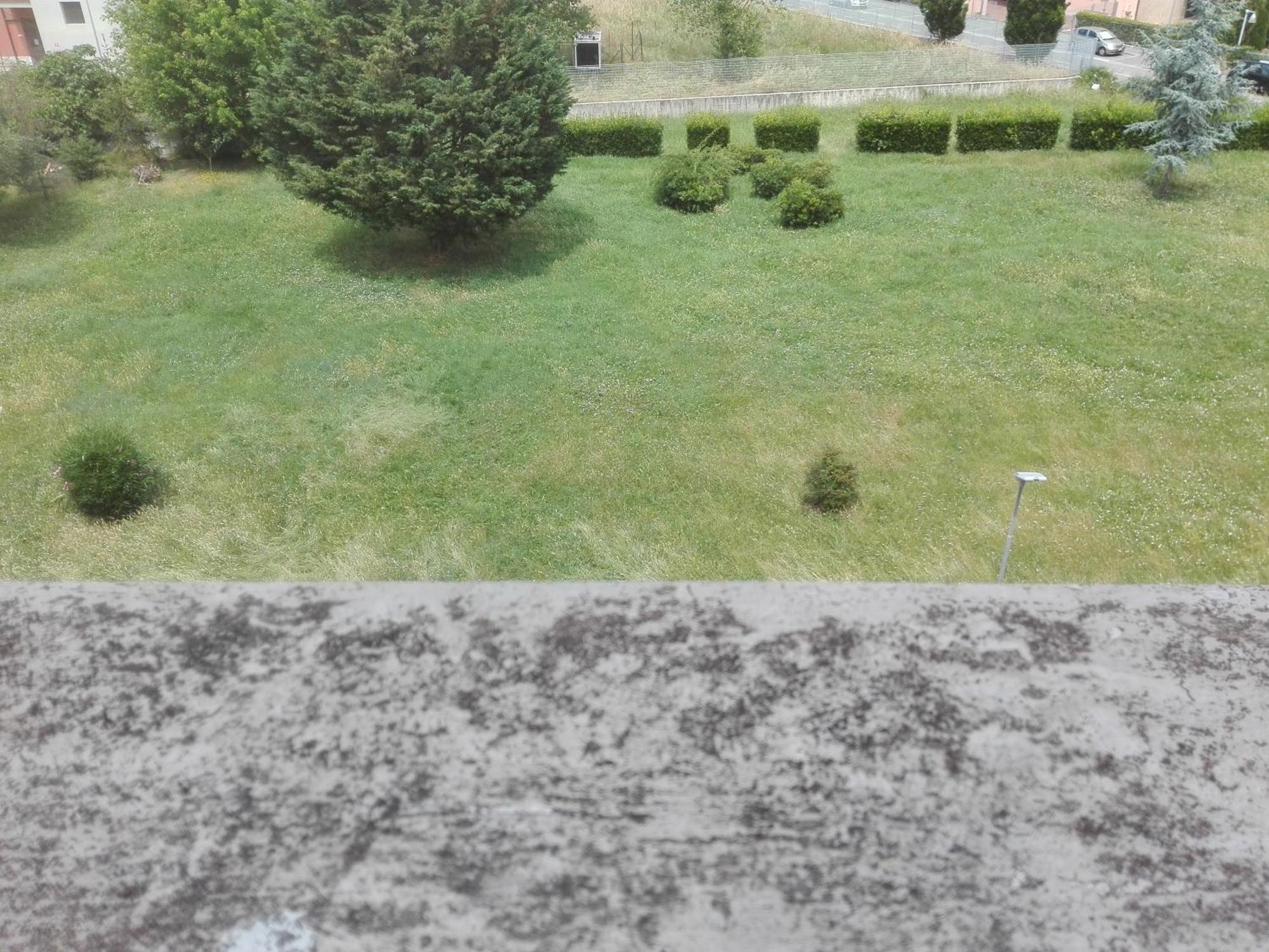 Welchome - Cisanello Apartamento *